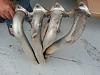 Integra Exhaust Parts [Skunk2, Stock GSR, DC 4-1 headers]-6fa6ww.jpg