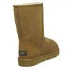 -ugg-classic-short-5825-chestnut_3_lrg.jpg