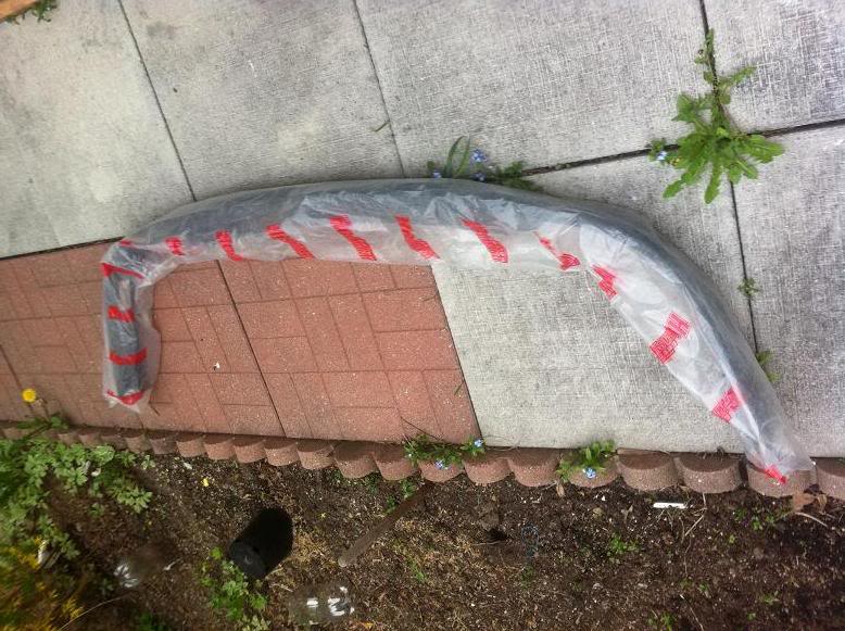 Name: lipp.jpg
Views: 24
Size: 98.8 KB