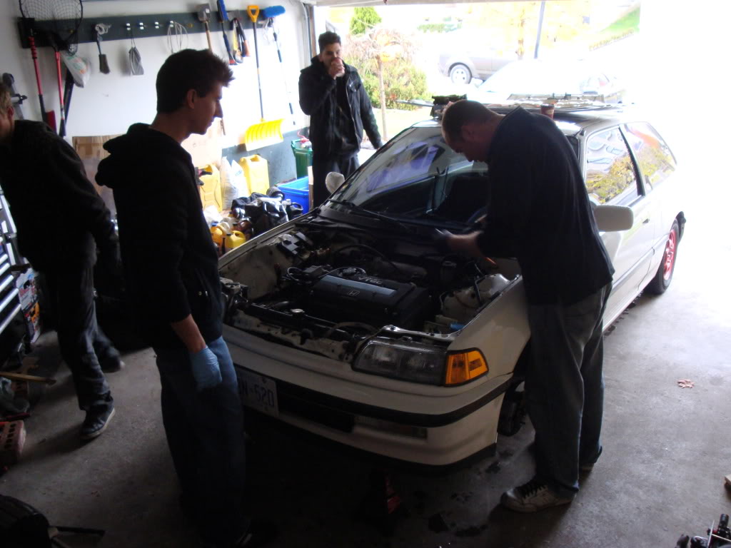 Name:  DSC01391.jpg
Views: 19
Size:  118.1 KB