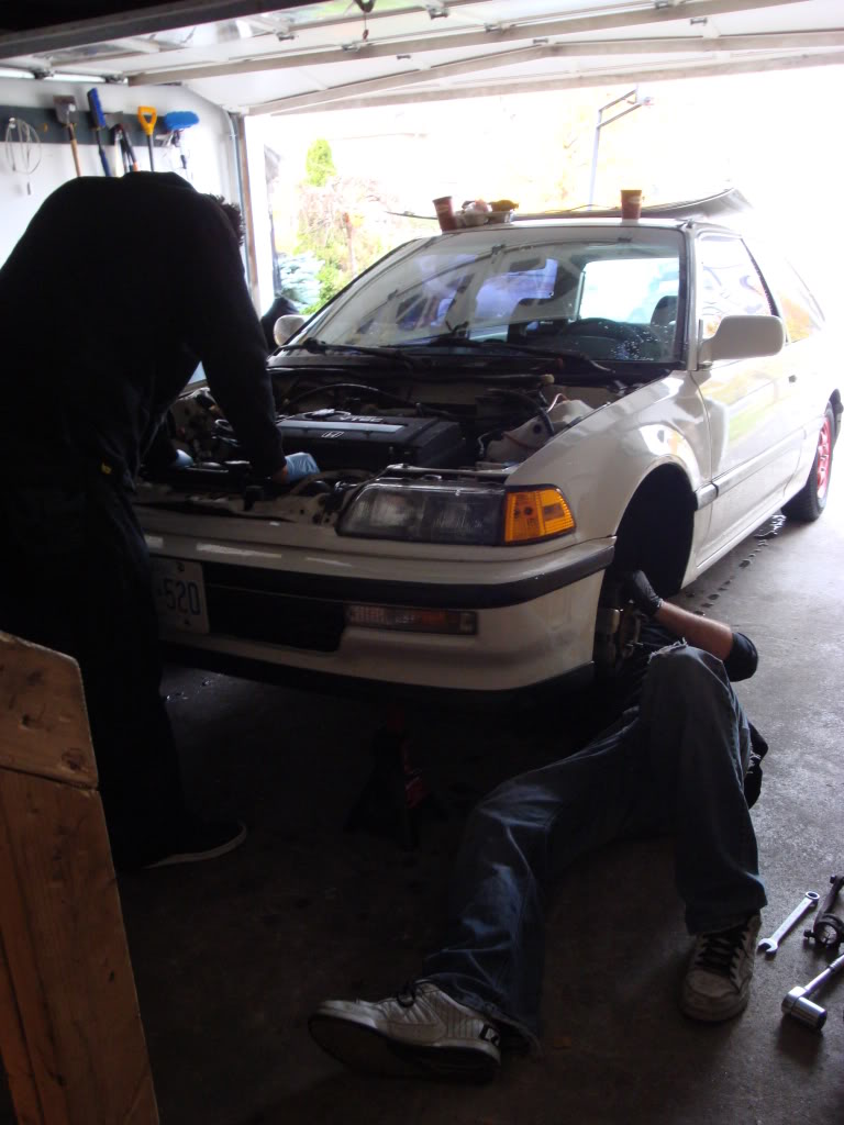 Name:  DSC01392.jpg
Views: 22
Size:  98.8 KB