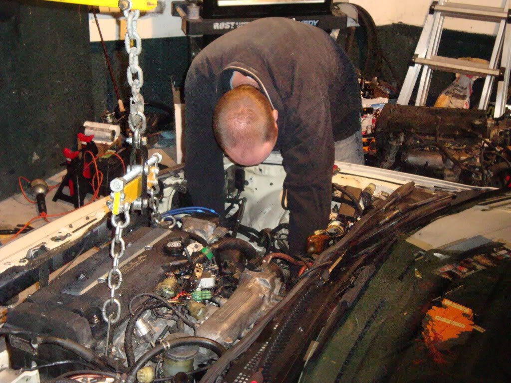 Name:  DSC01408.jpg
Views: 21
Size:  203.3 KB