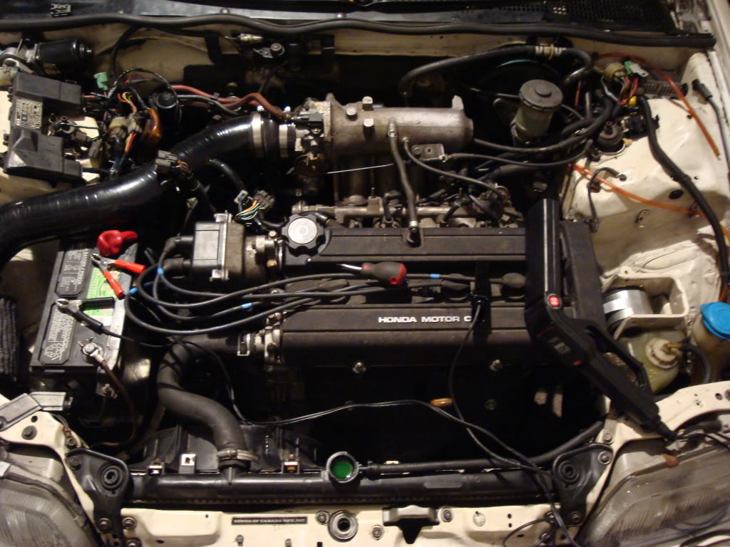 Name:  DSC01417.jpg
Views: 22
Size:  163.6 KB