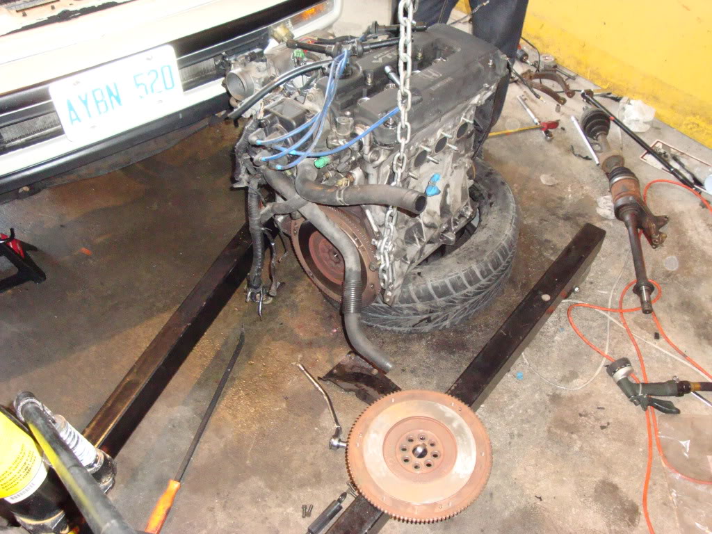 Name:  DSC01245.jpg
Views: 24
Size:  203.4 KB