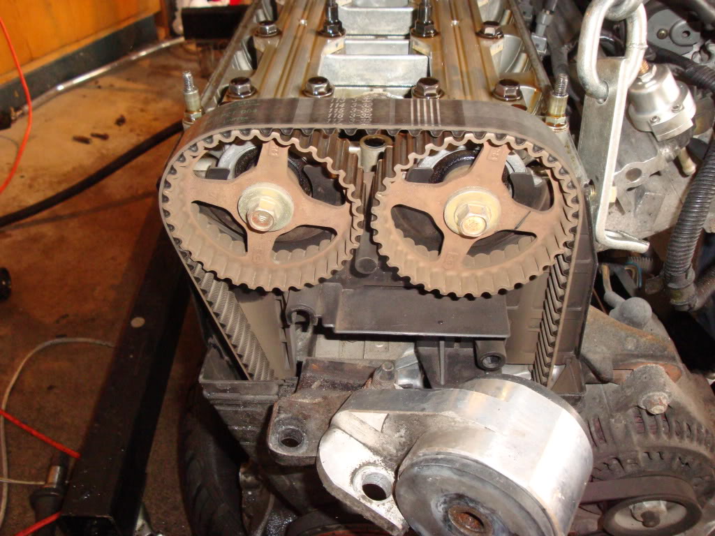 Name:  DSC01244.jpg
Views: 23
Size:  173.3 KB