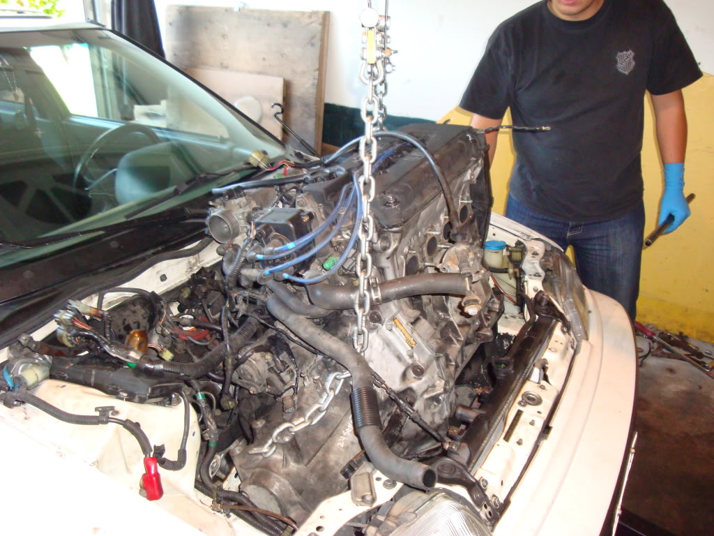 Name:  DSC01246.jpg
Views: 22
Size:  191.3 KB