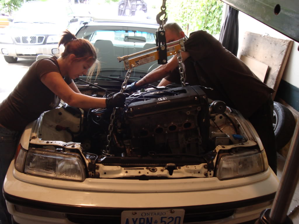 Name:  DSC01240.jpg
Views: 23
Size:  134.2 KB