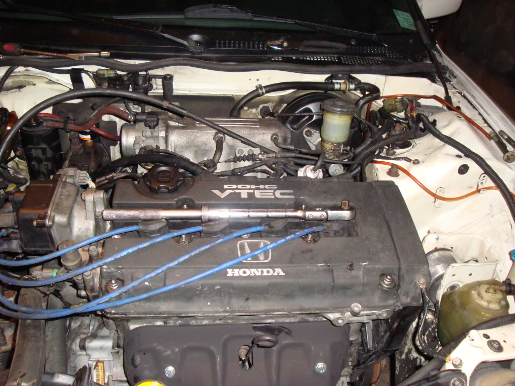 Name:  DSC01248.jpg
Views: 23
Size:  188.8 KB