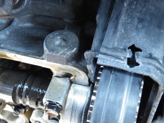 Name:  2009_0218Random10191.jpg
Views: 20
Size:  70.8 KB