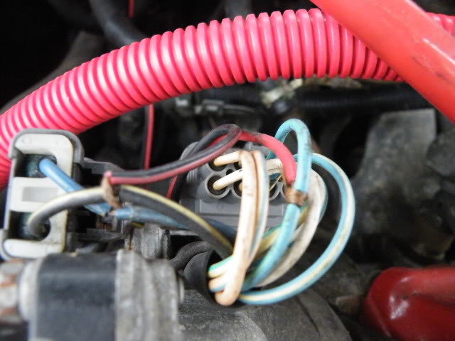 Name:  2009_0114random0015.jpg
Views: 23
Size:  64.7 KB