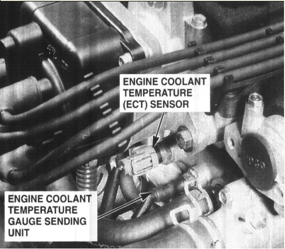 Name:  ect.bmp
Views: 114
Size:  827.1 KB