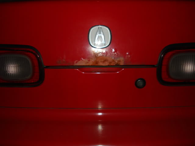 Name: DSC00457.jpg
Views: 40
Size: 21.1 KB