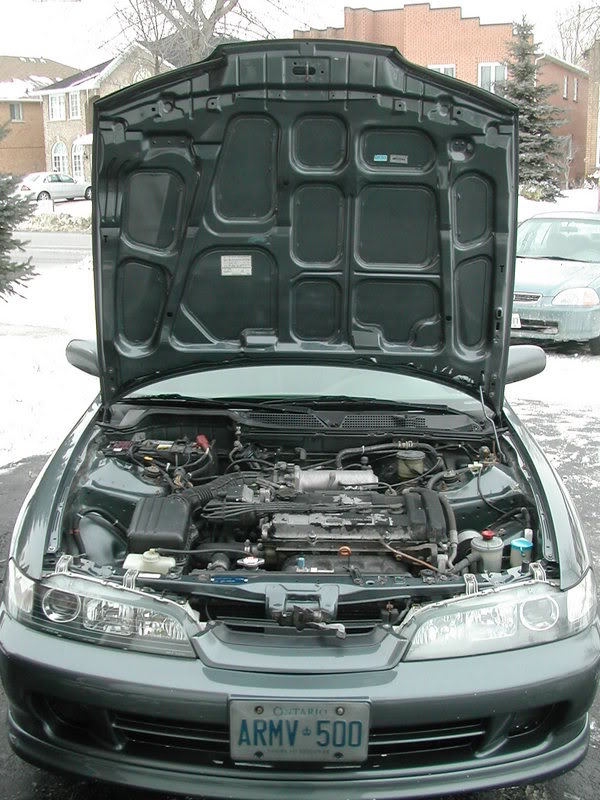 Name:  DSCN6158.jpg
Views: 260
Size:  104.7 KB