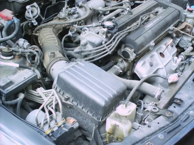 Name:  underhood3.jpg
Views: 21
Size:  75.6 KB