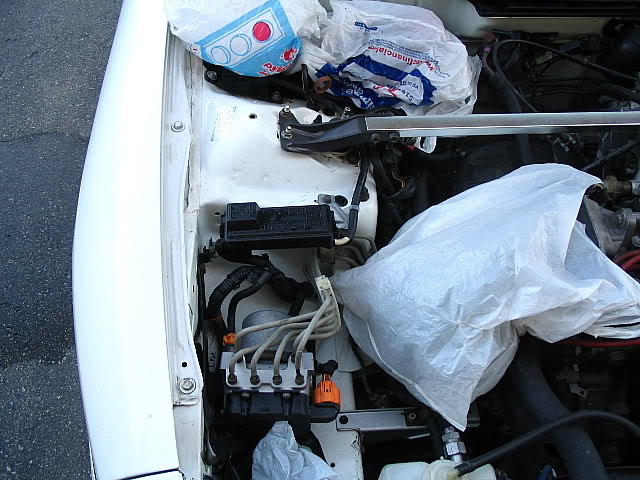 Name:  IMG_9582.jpg
Views: 27
Size:  87.5 KB