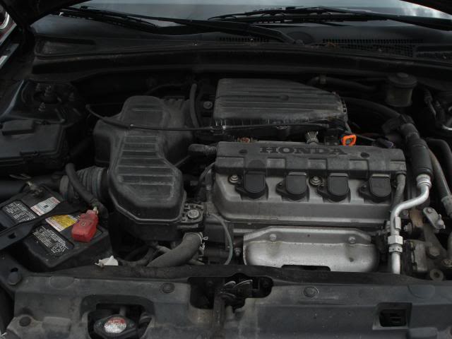 Name:  DSC05090.jpg
Views: 78
Size:  51.8 KB