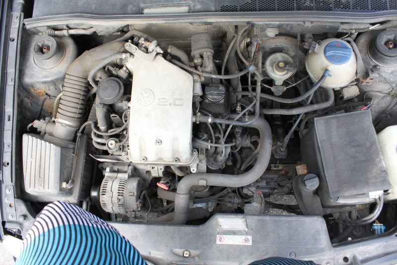 Name:  lalanew172.jpg
Views: 196
Size:  112.6 KB