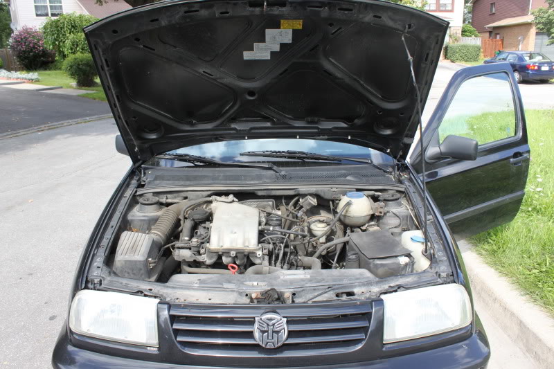 Name:  lalanew171.jpg
Views: 162
Size:  110.3 KB