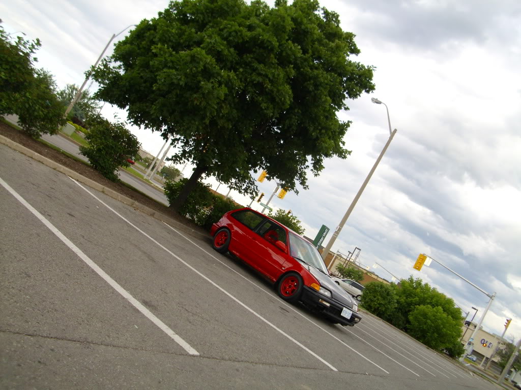 Name:  Newrimss006.jpg
Views: 175
Size:  166.7 KB