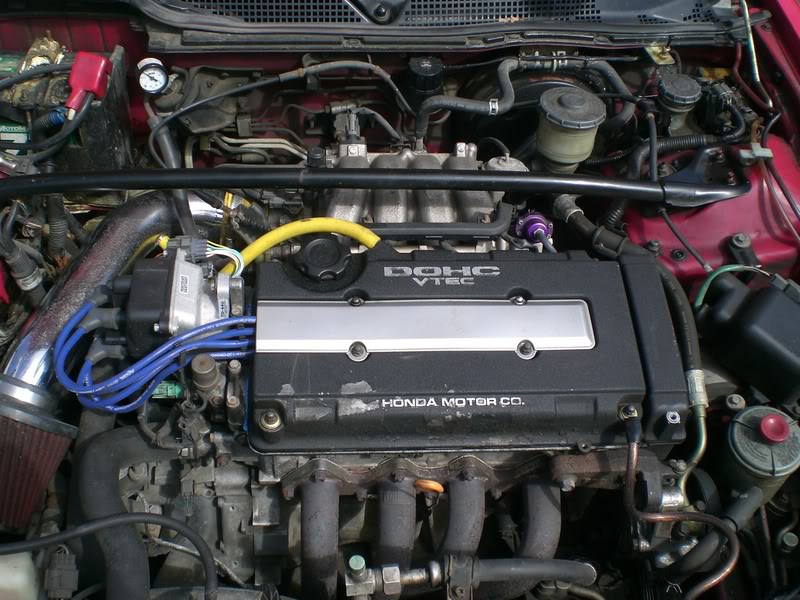 Name:  CIMG0010.jpg
Views: 53
Size:  138.0 KB