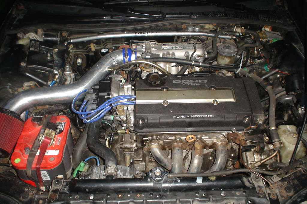 Name:  ravispics012.jpg
Views: 477
Size:  155.6 KB