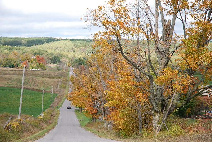 Name: res_DSC_0241.jpg
Views: 76
Size: 144.2 KB