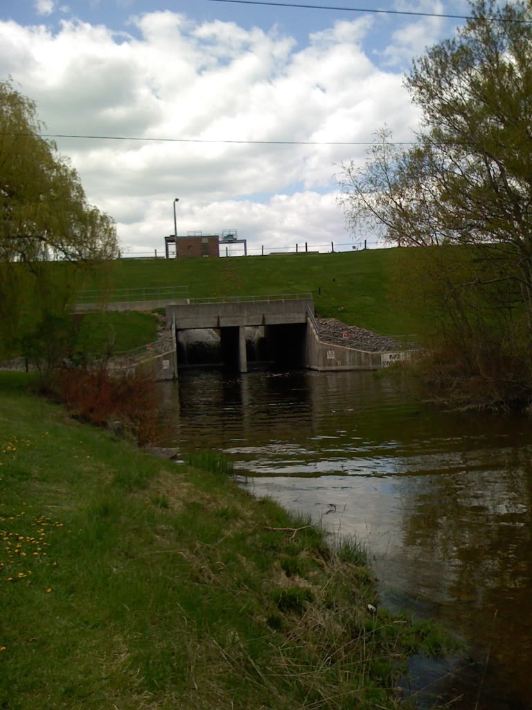 Name:  5.jpg
Views: 24
Size:  130.0 KB