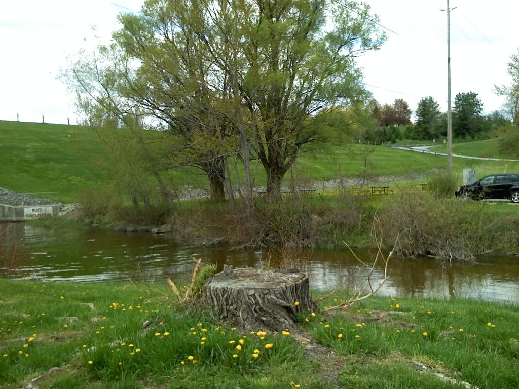 Name:  7.jpg
Views: 25
Size:  182.3 KB