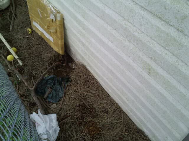 Name:  kitty.jpg
Views: 16
Size:  63.1 KB