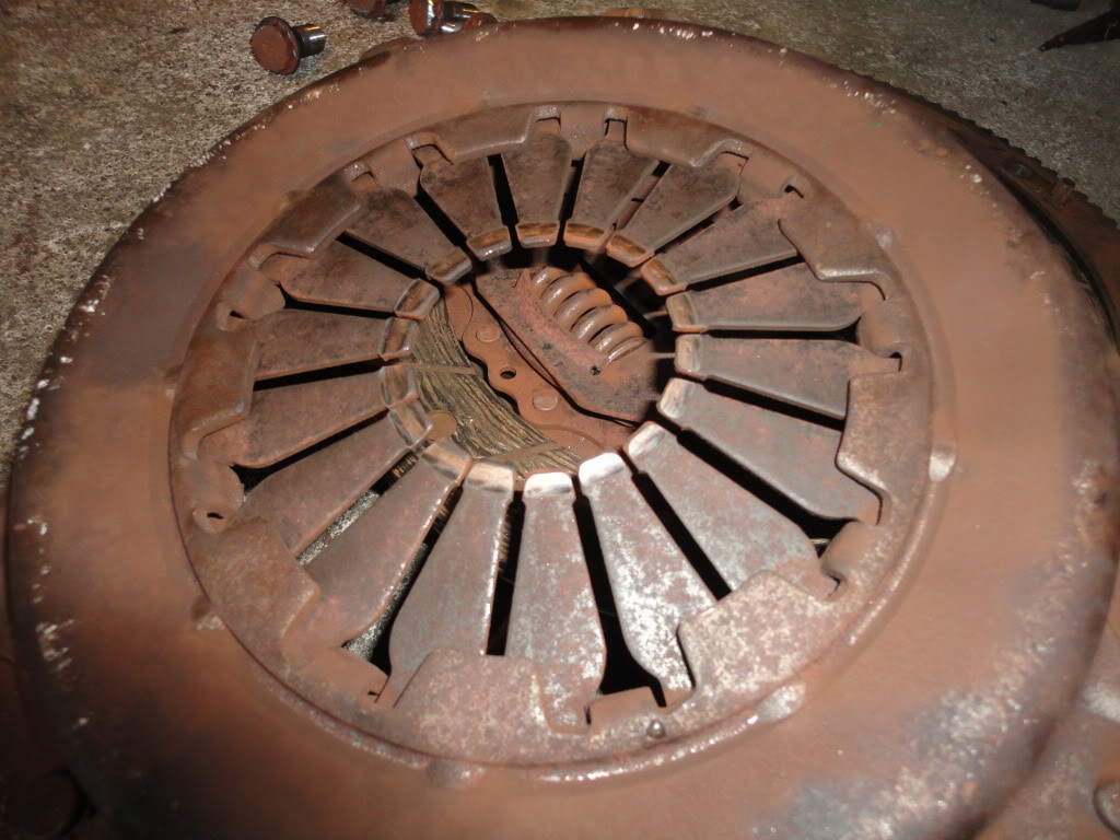 Name:  DSC00261.jpg
Views: 48
Size:  140.9 KB