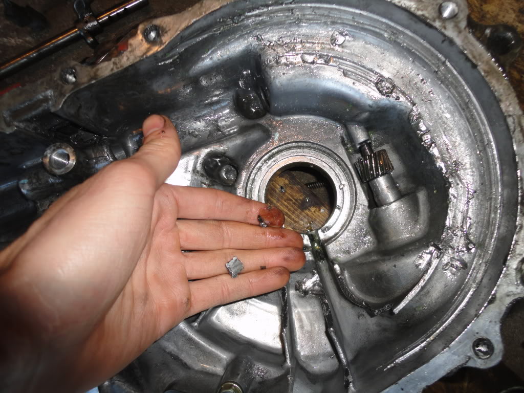 Name:  DSC00262.jpg
Views: 24
Size:  182.2 KB