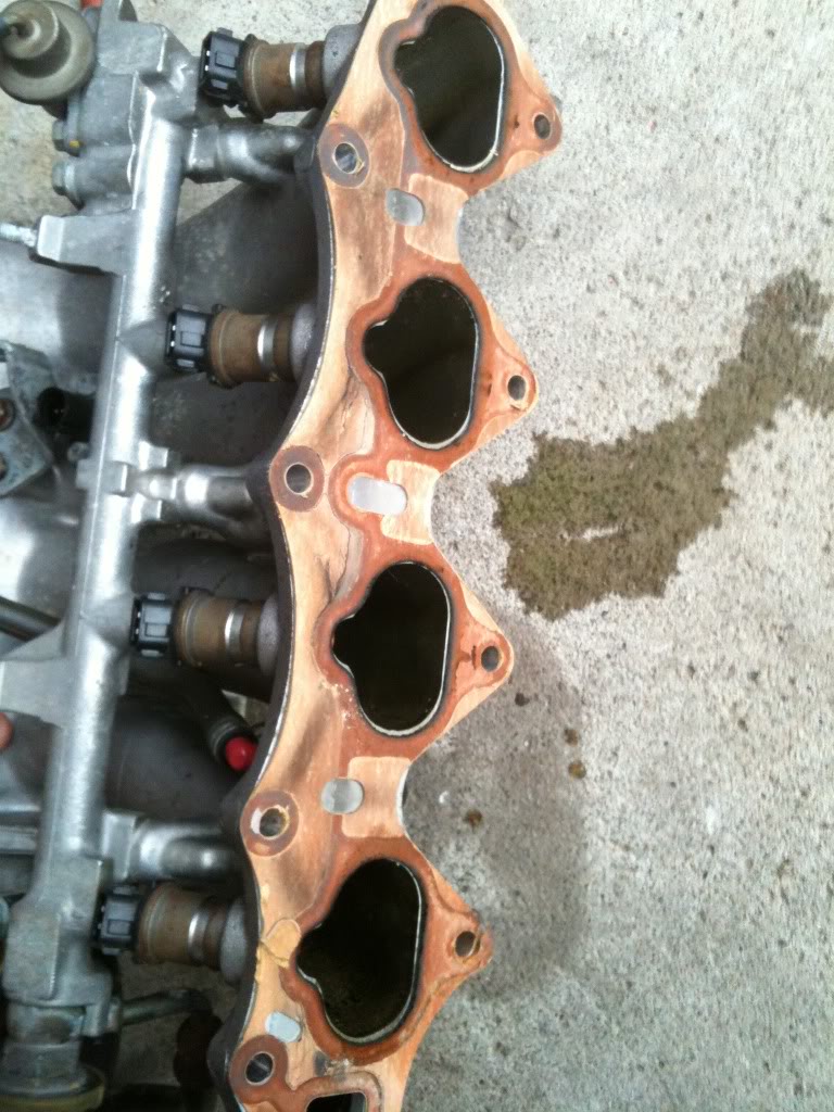 Name:  IMG_0559.jpg
Views: 62
Size:  151.3 KB