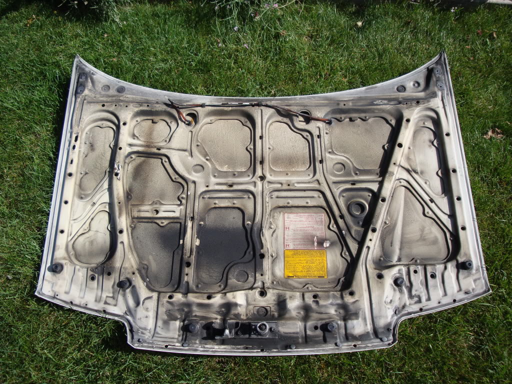 Name:  DSC01217.jpg
Views: 26
Size:  299.1 KB