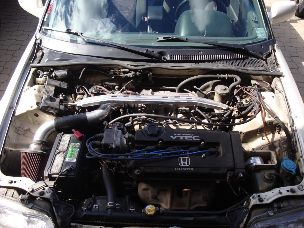 Name:  DSC01216.jpg
Views: 27
Size:  185.0 KB