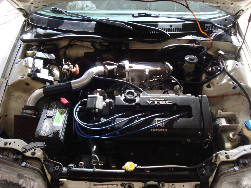 Name:  DSC01224.jpg
Views: 27
Size:  180.6 KB