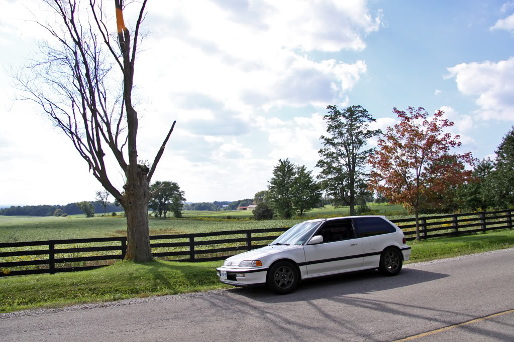 Name:  IMG_1006.jpg
Views: 39
Size:  189.4 KB