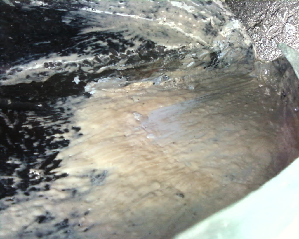 Name:  Photo-0088.jpg
Views: 47
Size:  115.6 KB