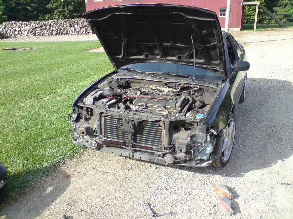 Name:  DSC00146.jpg
Views: 88
Size:  273.6 KB