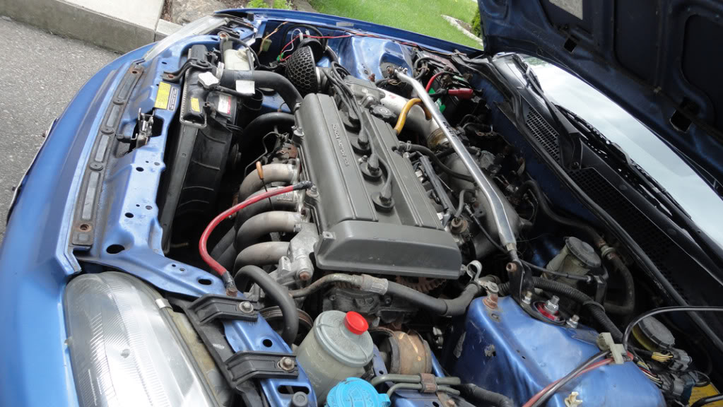 Name:  DSC00061.jpg
Views: 34
Size:  145.7 KB