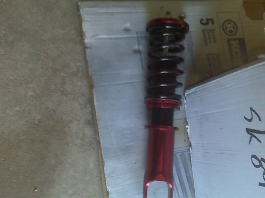 Name:  IMG00077.jpg
Views: 30
Size:  56.5 KB