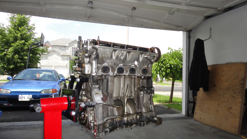 Name:  DSC00139.jpg
Views: 34
Size:  158.6 KB