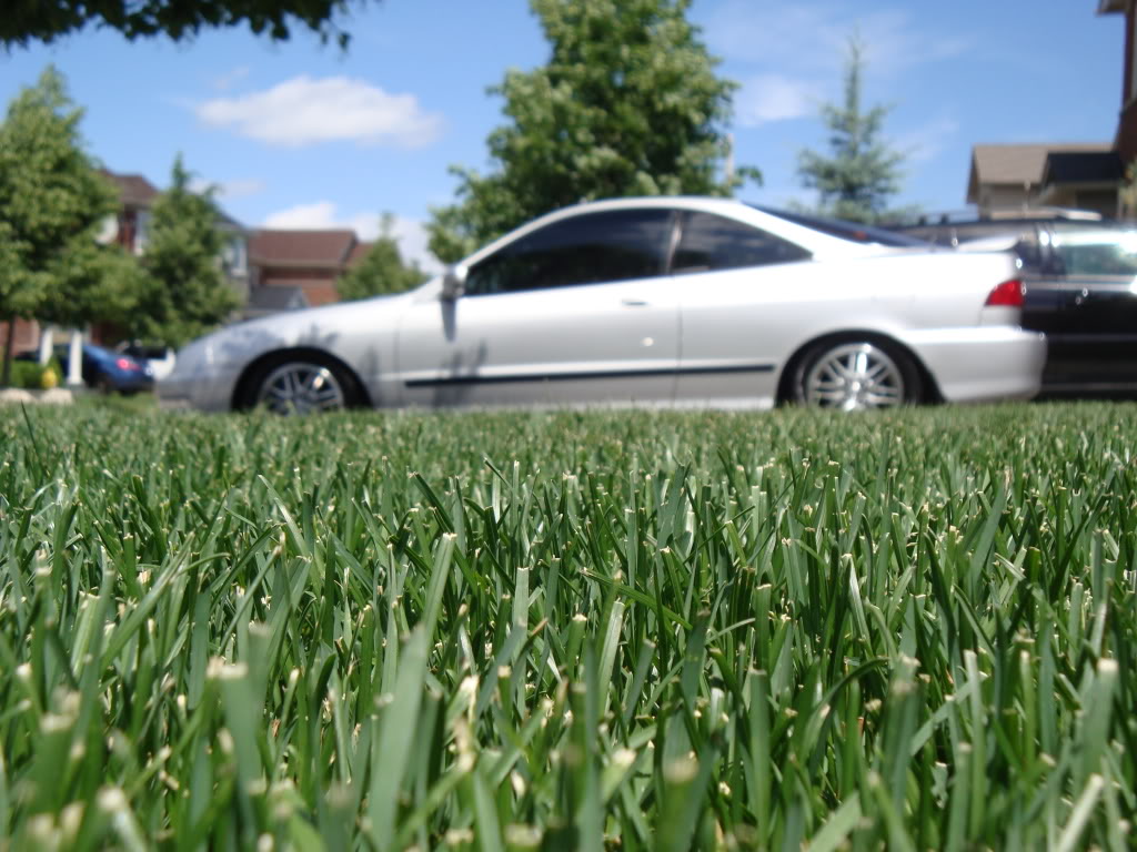 Name:  DSC01043.jpg
Views: 35
Size:  167.1 KB