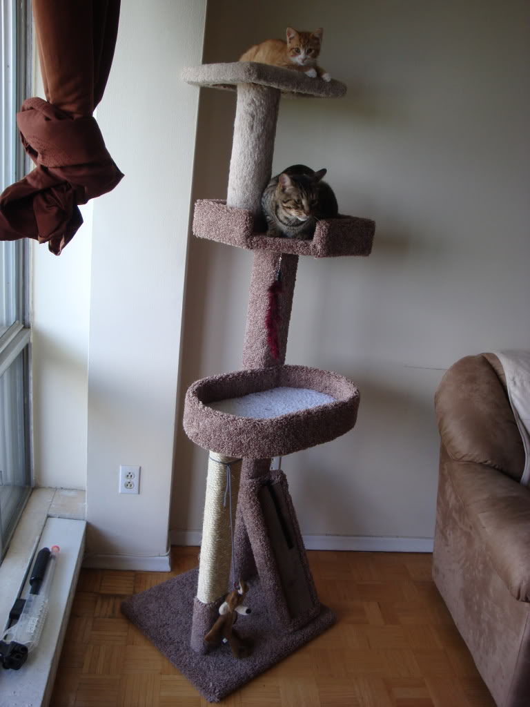 Name:  DSC01035.jpg
Views: 32
Size:  108.3 KB