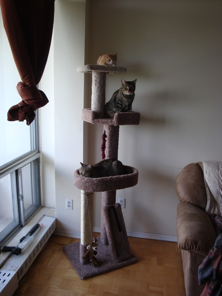 Name:  DSC01036.jpg
Views: 40
Size:  99.6 KB