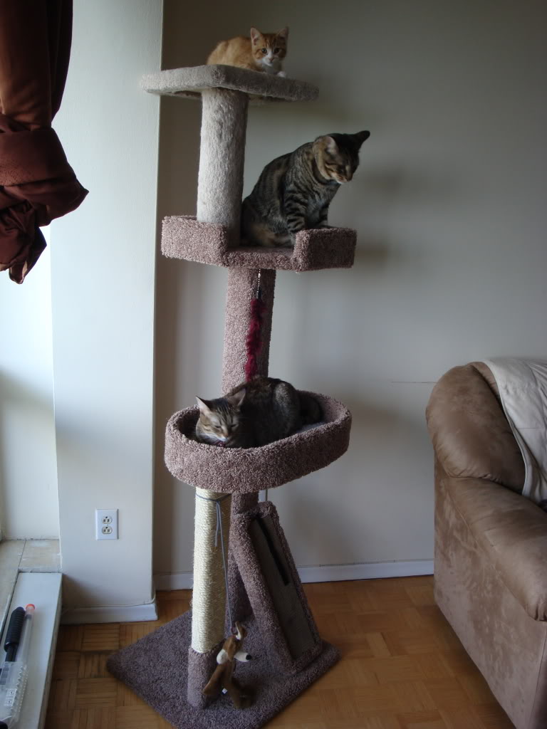 Name:  DSC01037.jpg
Views: 44
Size:  105.2 KB