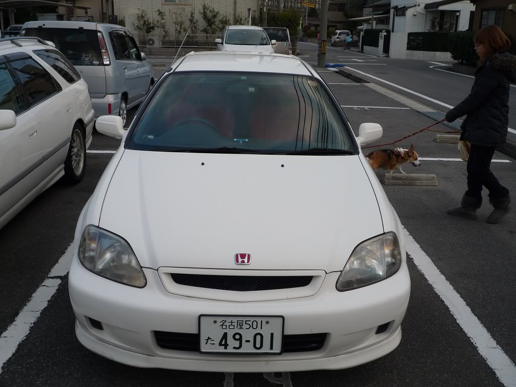 Name:  P1030496.jpg
Views: 19
Size:  132.3 KB