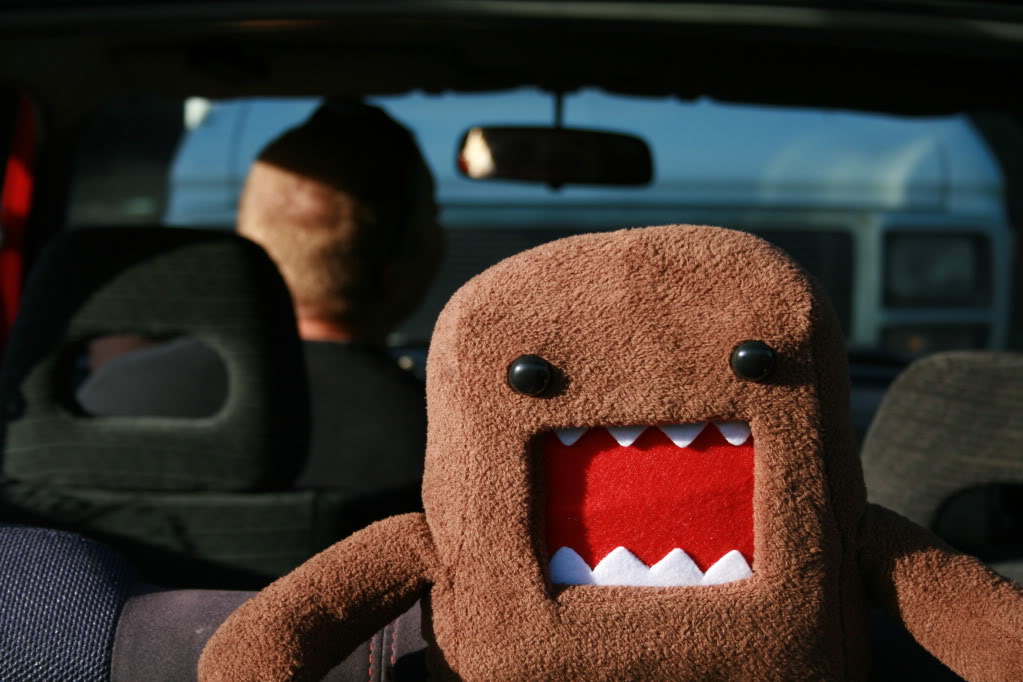 Name:  Picture21313.jpg
Views: 49
Size:  126.2 KB