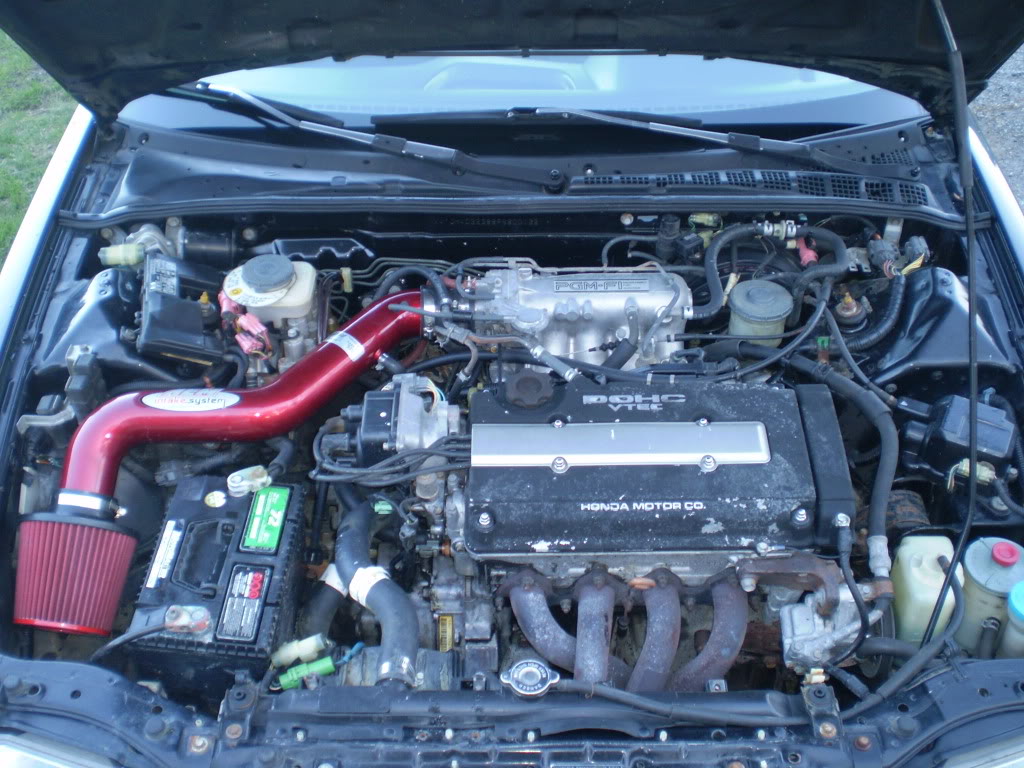 Name:  P4120346.jpg
Views: 43
Size:  170.7 KB