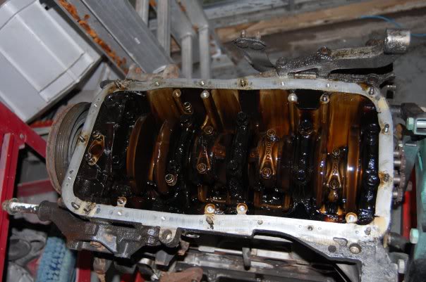 Name:  2.jpg
Views: 18
Size:  50.0 KB