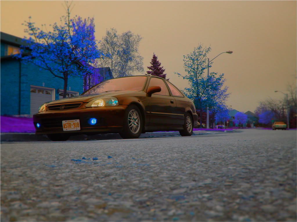 Name:  DSC03136-1.jpg
Views: 58
Size:  125.0 KB